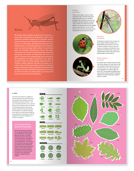 manual_mockup_03_web