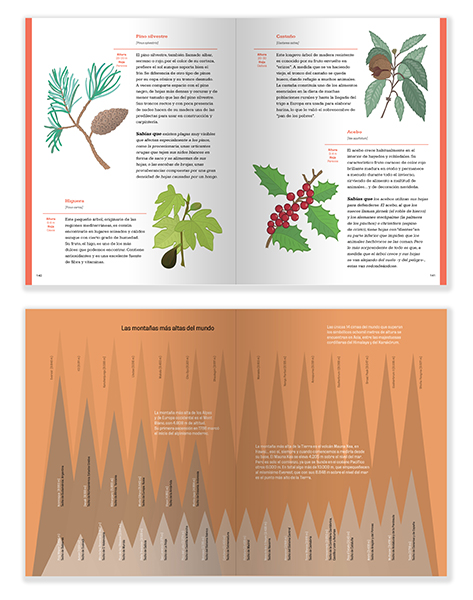 manual_mockup_05_web