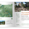 mock_up_region_valencia_3
